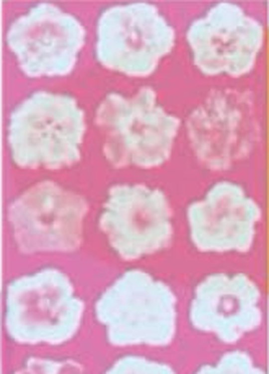 Detail: flowers panel